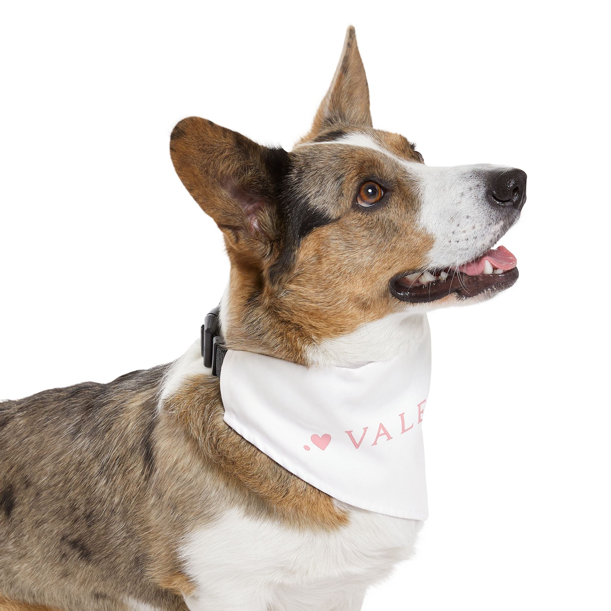 Valentine Pet Bandana Collar – Pink Heart "Valentine" Dog & Cat Accessory