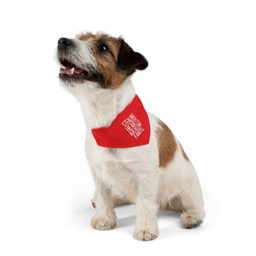 Pet Bandana — "Stealing Hearts & Blasting Farts" Red Dog Bandana Collar