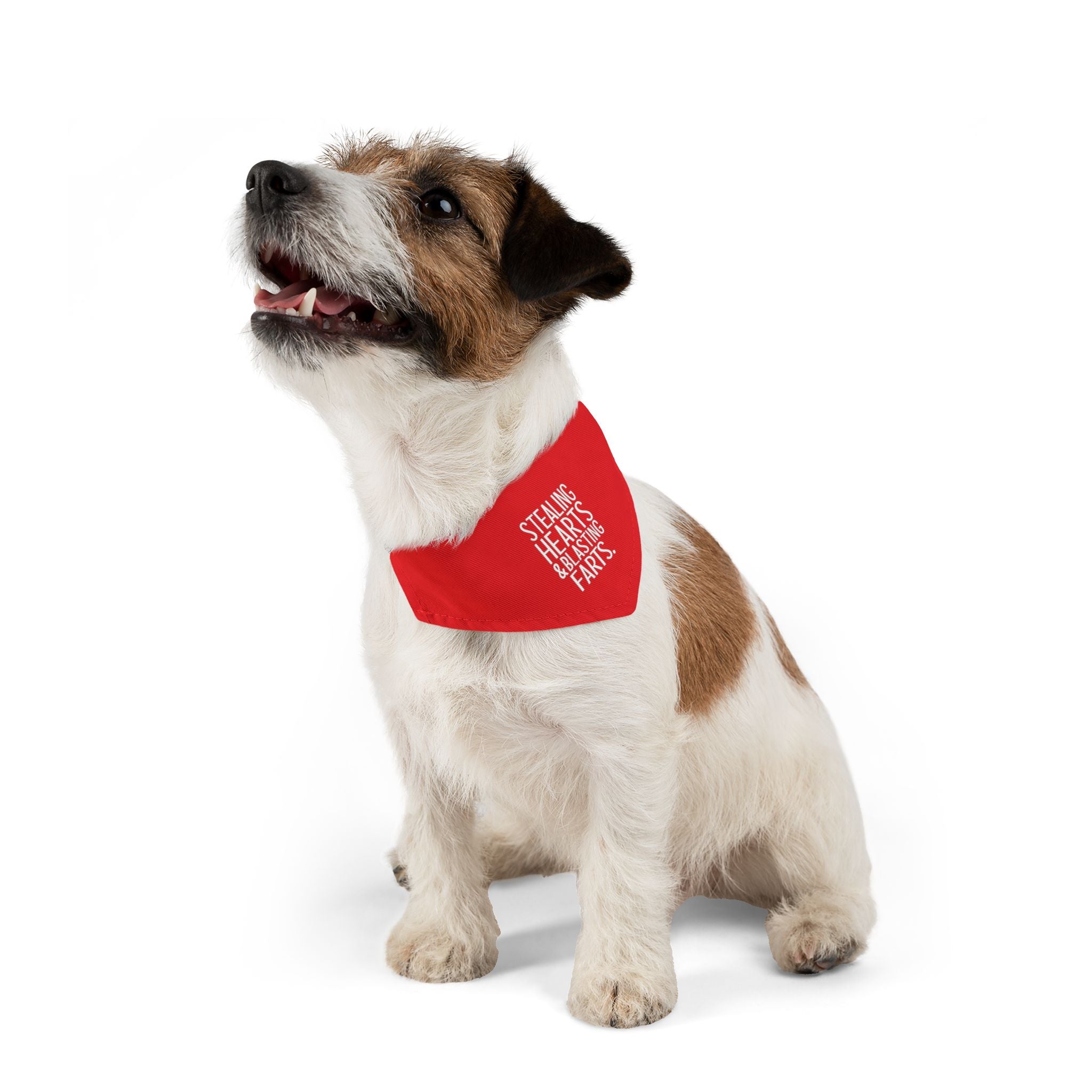 Pet Bandana — "Stealing Hearts & Blasting Farts" Red Dog Bandana Collar