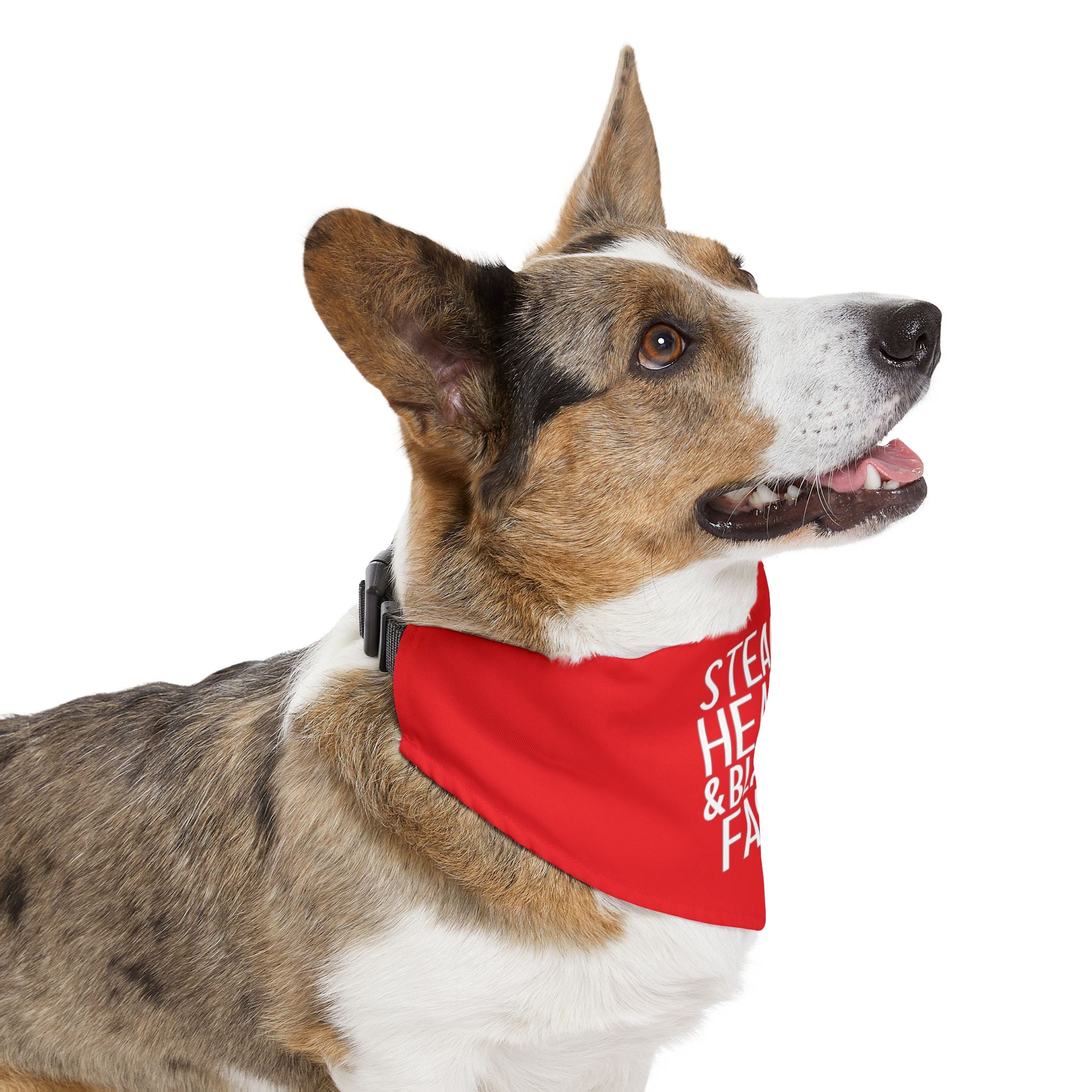 Pet Bandana — "Stealing Hearts & Blasting Farts" Red Dog Bandana Collar
