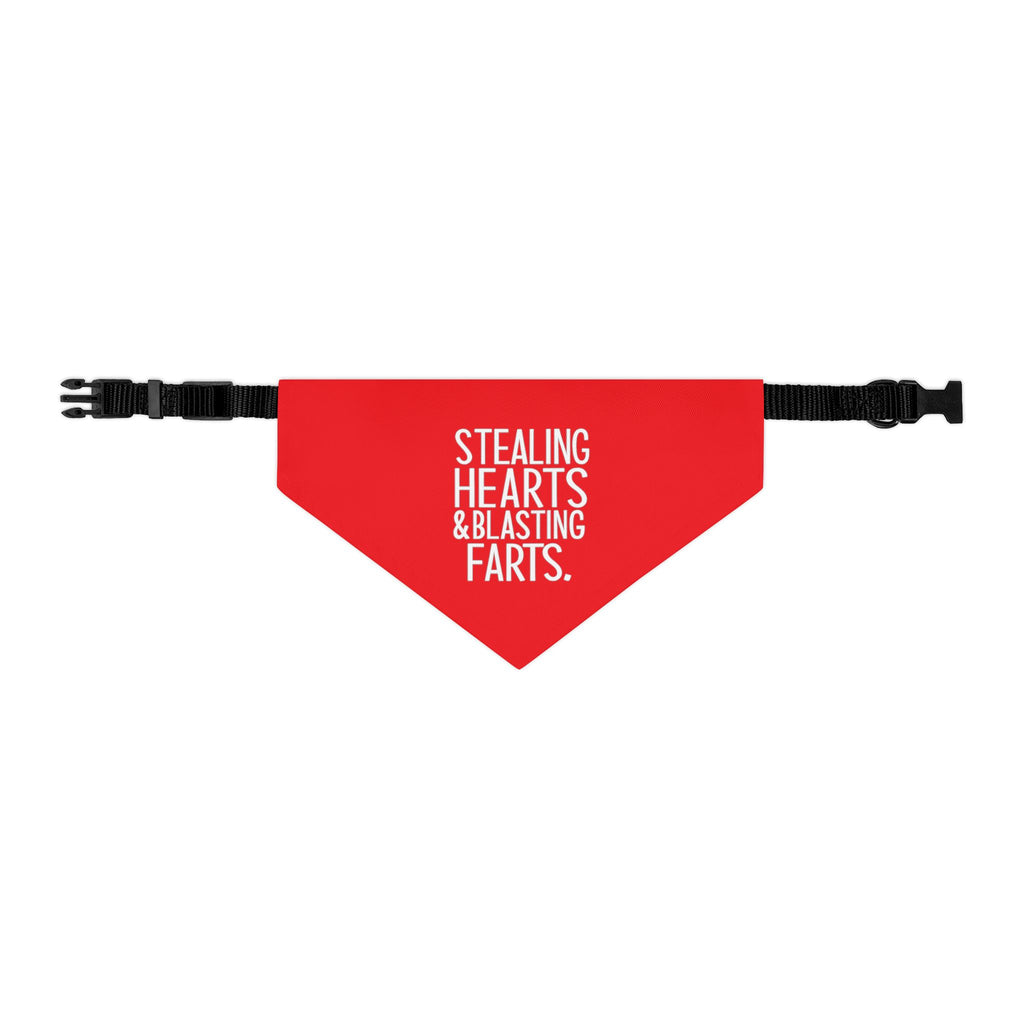 Pet Bandana — "Stealing Hearts & Blasting Farts" Red Dog Bandana Collar