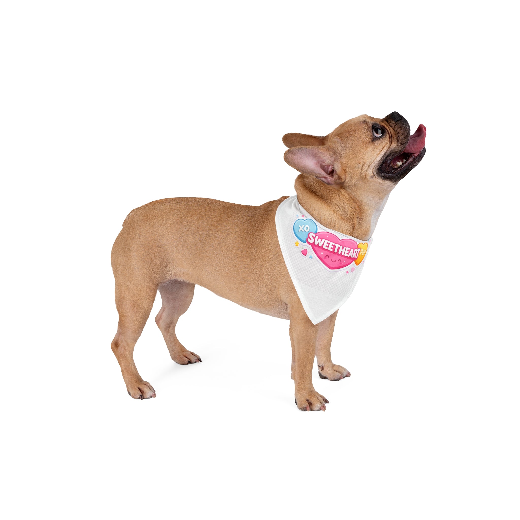 Pet Bandana — "Sweetheart Pup" Heart Graphic Dog Bandana (Valentine’s Day, Cute Puppy Accessory)