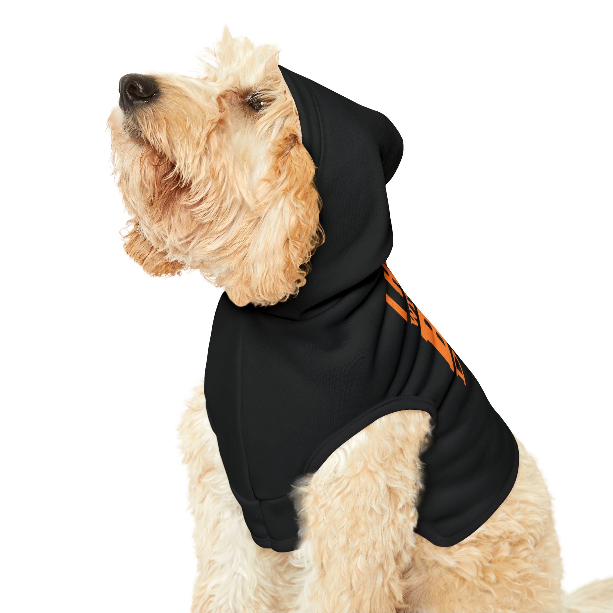 Pet Hoodie — "I Hunt With The Big Dogs" Black Dog Hoodie for Small Pets