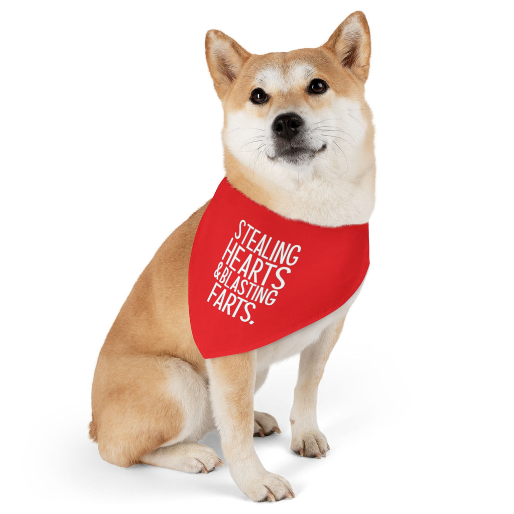 Pet Bandana — "Stealing Hearts & Blasting Farts" Red Dog Bandana Collar