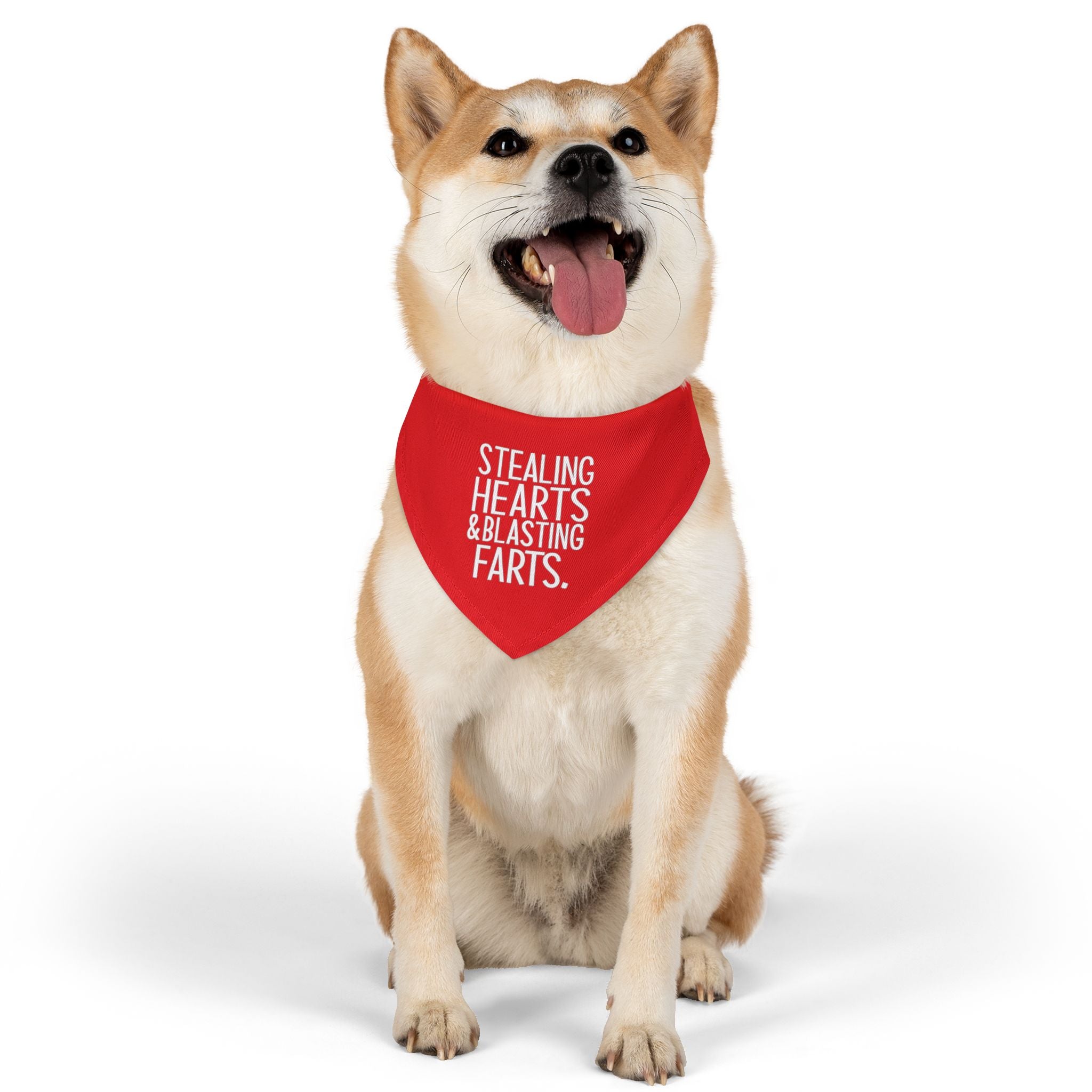 Pet Bandana — "Stealing Hearts & Blasting Farts" Red Dog Bandana Collar