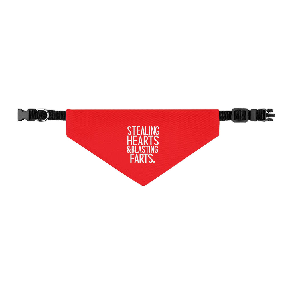 Pet Bandana — "Stealing Hearts & Blasting Farts" Red Dog Bandana Collar